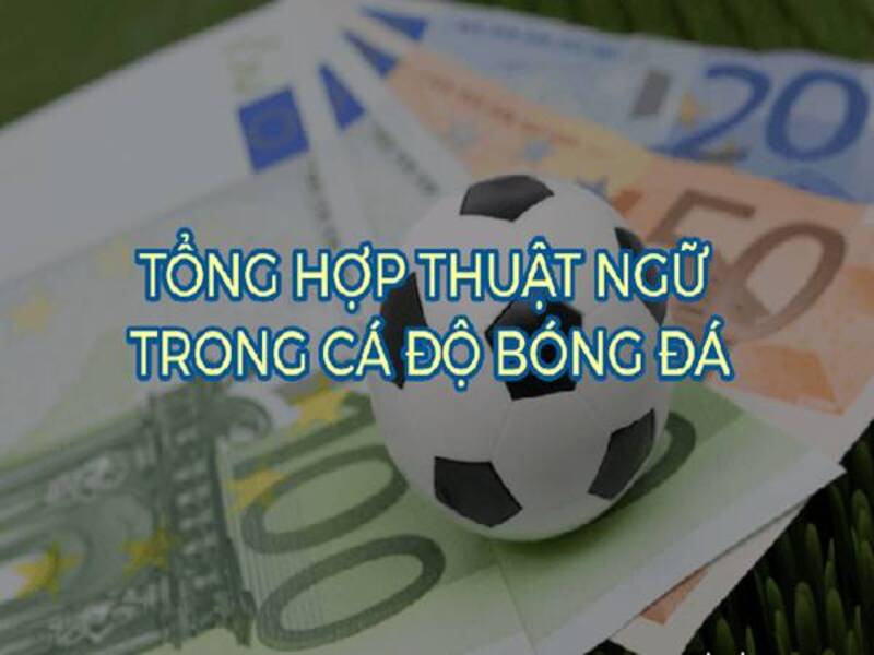 Một số thuật ngữ cá cược