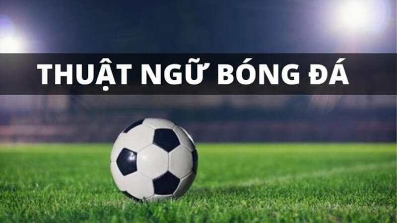 Những thuật ngữ cơ bản