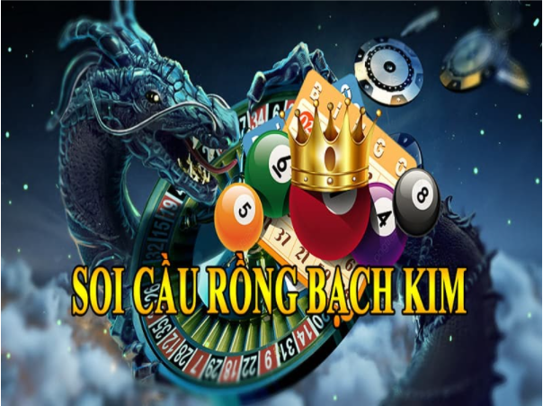 sai-lam-soi-cau-rong-bach-kim