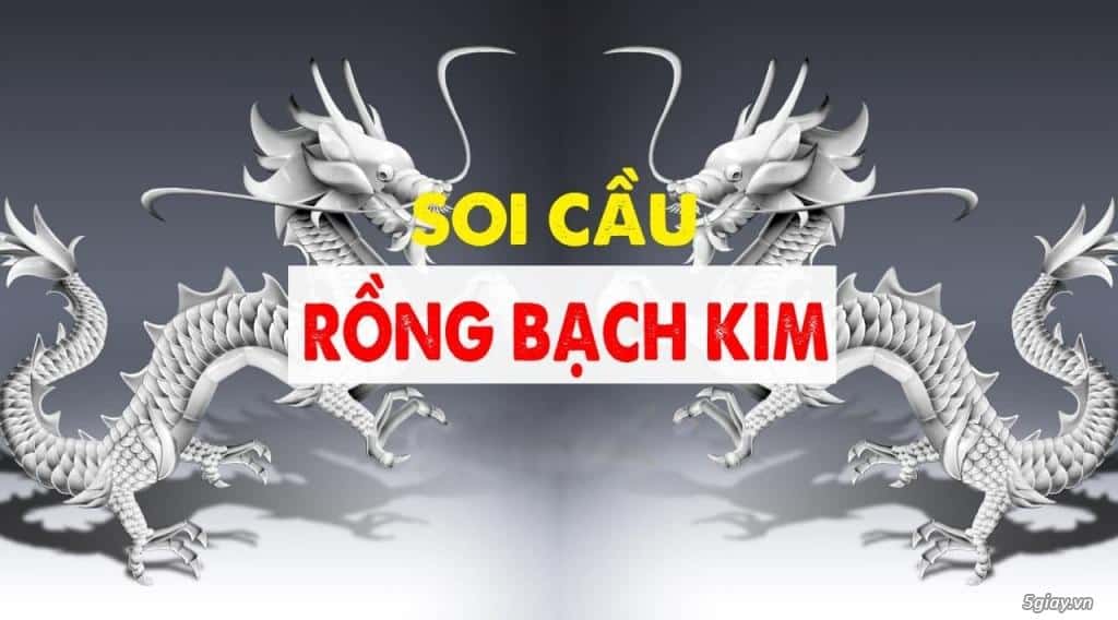 Soi cầu rồng bạch kim